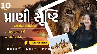 Std 11 Science Biology Ch 4 | Prani Shrusti | Animal Kingdom | પ્રાણી સૃષ્ટિ_10