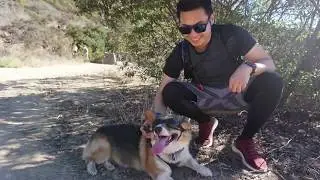 Hiking Social 2018 - Wisdom Tree and Cahuenga Peak Trail