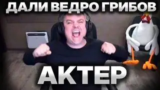 Racer, mushrooms, and Bulkin with a webcam!