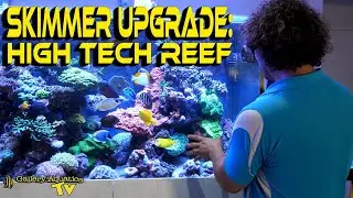 Great White Skimmer Upgrade - GW-30 : High Tech Reef | Gallery Aquatica TV