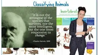 Homosexuality in the Animal Kingdom