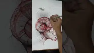 Fast sketch