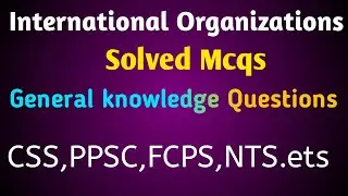 International Organizations | Headquarters, Purpose & Key Facts solved mcqs