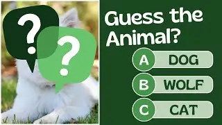 🌍 World General Knowledge Quiz 2025 | 20 Mind-Blowing Questions Only Geniuses Can Answer!