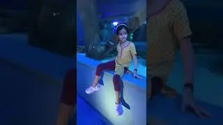 Wonderful experience to visit Aquarium with under water tunnel. Amazed to view some beautiful fishes