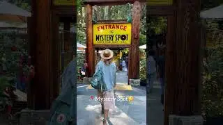 Santa Cruz: Top 5 Things To-Do