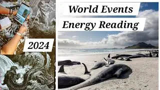 Whales Warning For 2024 #worldevents  Energy Reading