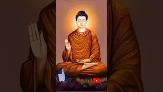 Day4 Light the way#peace #light #motivation #trending #inspiration #buddha #budhism #gulabisadi