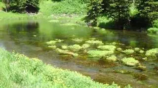 Big Springs, Idaho