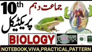 BIOLOGY Practical VIVA Questions for Class 9th - 10th | Biology Important  Practicals Guess 2025