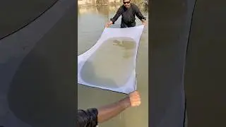 #fishing 🐬🐬😲#fish #fyp #shorts #vlog #video  #viral