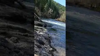 Wind river  carson Washington  state