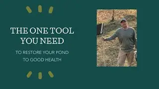 Pond Rakes Are THE BEST!