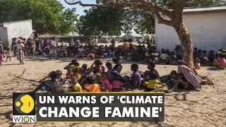 Drought devastates homes in Southern Madagascar | United Nations | Climate Crisis | World News