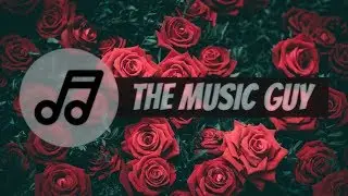 Serene | The Best Of Sublab Music Mix | Best Chillstep | Study Mix
