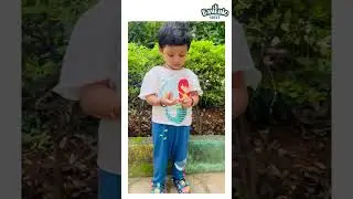 Real Mom Reviews: Bambino West's Organic Baby Clothes