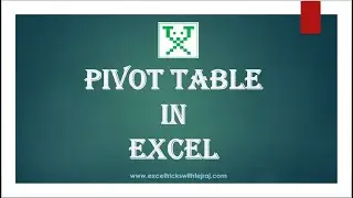 Pivot Table in Excel