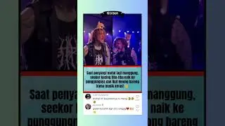 Viral! Kucing Naik ke Punggung Penyanyi Metal dan Ikut Nyanyi di Atas Panggung! 🤘🐱 #kucingviral