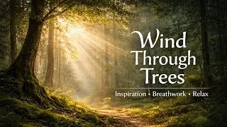Wind Through Trees | Nordic Ambient (Breathwork &bull; Inspiration &bull; Relax)