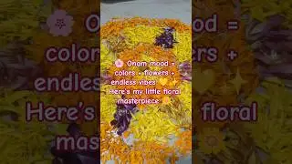 Day-33 | 🌸 Creating a colorful Onam Poo Kolam | Festive vibes in every flower ✨ #Onam #festivevibes