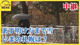 「とうとう冬が来たか」札幌市内、7日は断続的な雪と冷え込み 南区真駒内から冬の到来をリポート