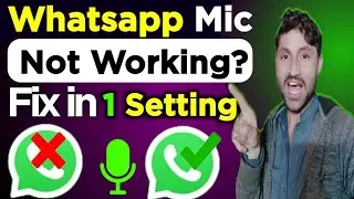 Fix Whatsapp audio voice problem in video call - ( Working )
