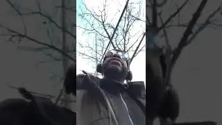 Mute R. Kelly