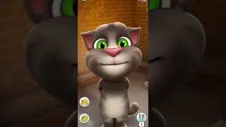 #enjoy #billi #funny #billi Anjali# #Verma#🤣🤣🤣#funny continuity# #comedy #video#