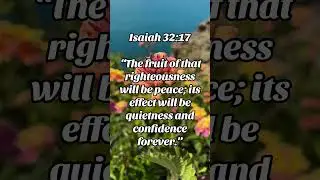 &ldquo;Righteousness Brings Peace | Isaiah 32:17 🕊️✨&rdquo;