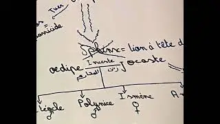 La fiche de lecture Antigone + Le mythe d&rsquo;&oelig;dipe🇫🇷🚨