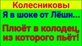 Колесниковы. Посылка. Обзор влогов. 10 05 2023 Колесниковы