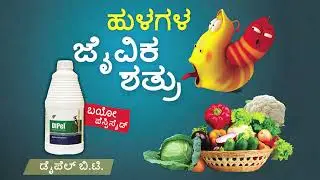 Dipel- Biological Insecticide For Vegetable Farmers #organicfarming #dipelbt -  Kannada