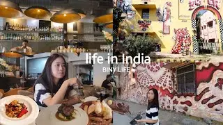 Korean Life in India 🇮🇳 | Lodi Art Street Walk 🖼 + Lunch at Tres in Delhi 🍽