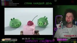 Реакция Как angry birds скатилась. История серии игр angry birds.