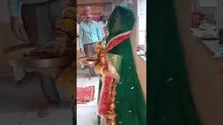 माजीसा नेचुनरी उड़ती हुई