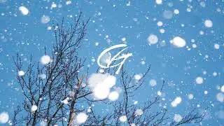 Vlad Gluschenko - How the Snow Falls