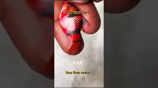 red tiger barb fish #ytshorts #viralreels #youtubeshorts #viralreels #shot