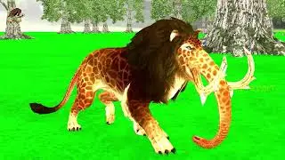 Black Lion Fight White Tiger Vs Lion King Attack Cow Cartoon Buffalo Elephant Save By Woolly Mammoth