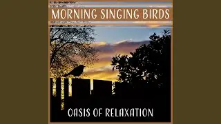 Quiet & Healing Moments