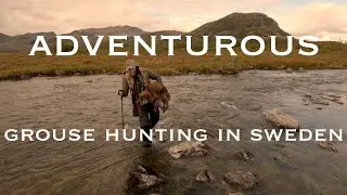 Willow Grouse Hunting in Sweden