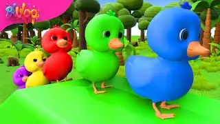 Five Little Ducks | Kids Songs | BluLoo Nursery Rhymes & Kids Songs