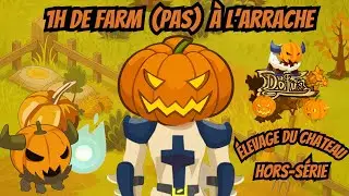 [Dofus Retro] BOUFTOU HALOUINE : 1H DE FARM (PAS) &Agrave; L'ARRACHE [HORS S&Eacute;RIE]