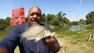 One of the best ways to fish California Crossing Spillway for Sandbass is Grubs with 1/4 jig