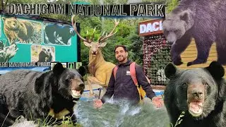 DACHIGAM🐯 | SRINAGAR SMART CITY ❤️