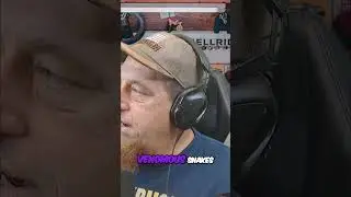 Drunk Man Gets Bitten by Deadly Snake! Wild Story! #wildstory #snakebite #bitten