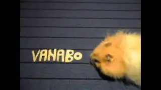 vanabode hamster