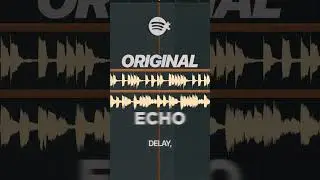 🤔 What's the difference between echo and delay?