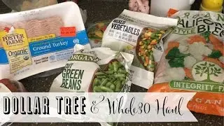 Dollar Tree & Whole30 Grocery Haul | #SSSVEDA  2