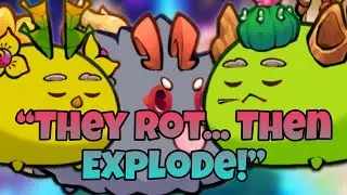 Double Poison Plant + Mech Burst Combo 💥 | Axie Infinity META Breaker 2025