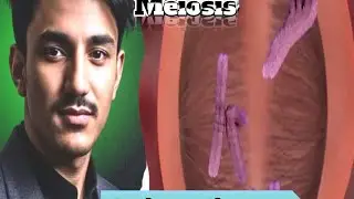 Meiosis and importance of meiosis.@onlyforeducation@dr.hafizsultanacademy